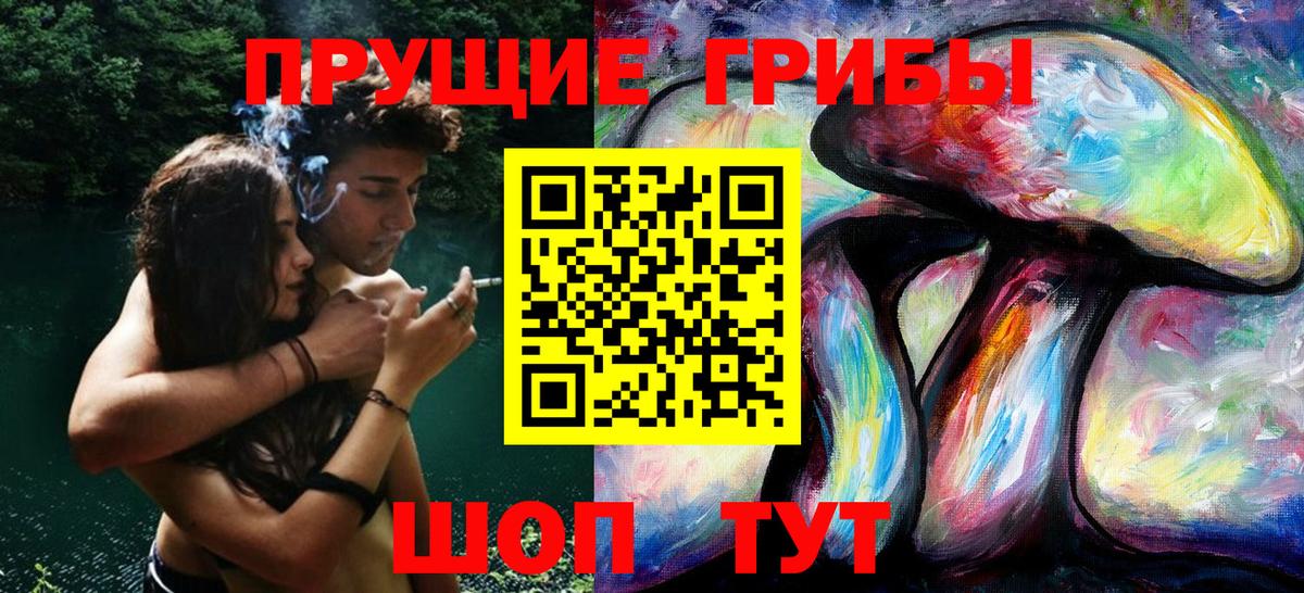 Галлюциногенные грибы Psilocybe  Вход с VPN  купить   Дивногорск 